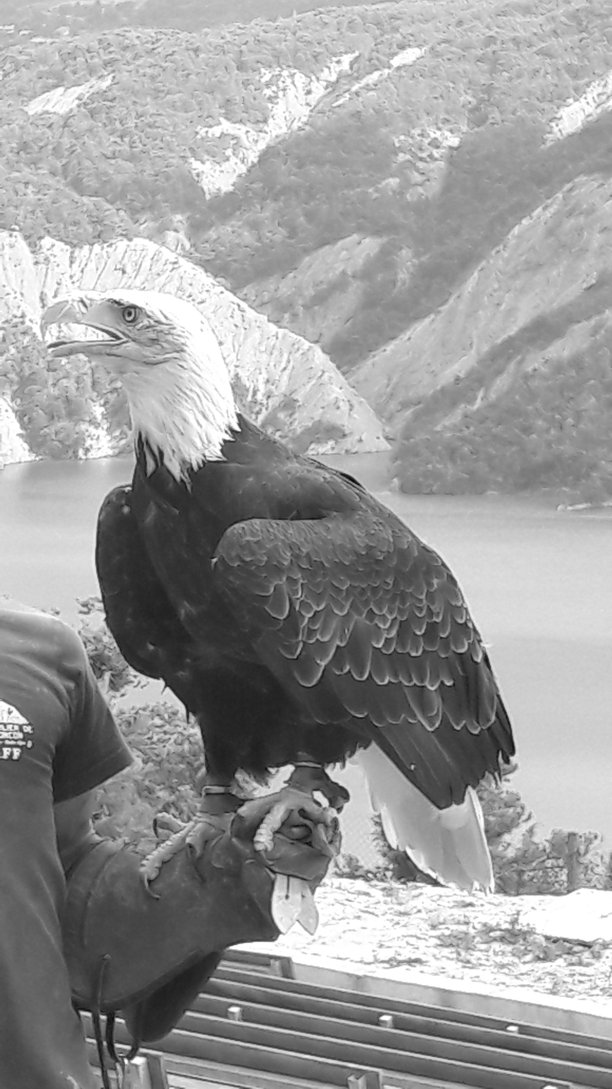 Photo n° 2 de l'avis de Sabrina.o fait le 02/07/2018 à 22:16