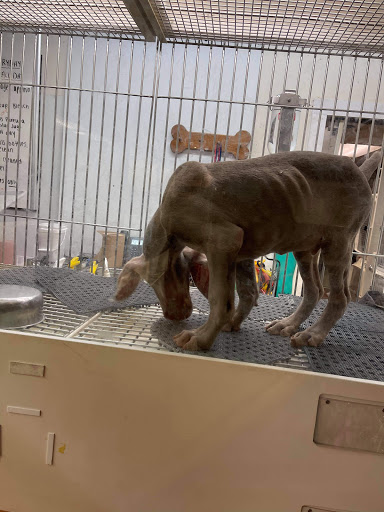 Pet Store «Pets Plus Inc», reviews and photos, 2610 Jefferson Davis Hwy, Stafford, VA 22554, USA