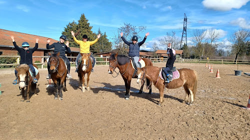 Club Hippique de Taravas à Bellegarde-Poussieu