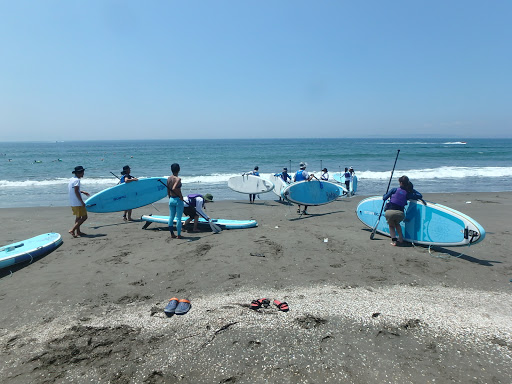 MK SURF