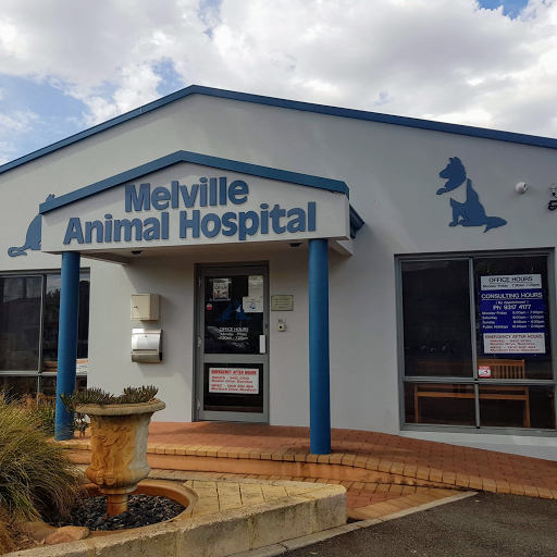 Melville Animal Hospital
