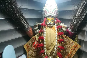 Durga Mata Mandir Vishnu Nagar image