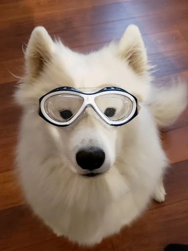 A Sight for Sport Eyes, 1553 11th St, West Linn, OR 97068, USA, 