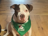 Green Garden Barn - Photo 9 - Car repair in Knoxville, TN, Knoxville