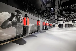 Evolve MMA (Clarke Quay Central) image