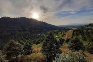 Durian Land image