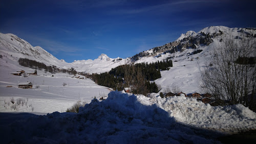 Agence immobilière JFK Immobilier SAS - JFK Montagne SAS Le Grand-Bornand