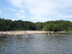 Zdjęcie Badestrand Steinhuder Meer Nordufer z poziomem czystości wysoki