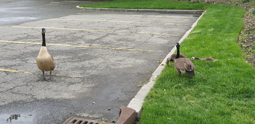 Movie Theater «College Point Multiplex Cinemas», reviews and photos, 2855 Ulmer St, Flushing, NY 11354, USA