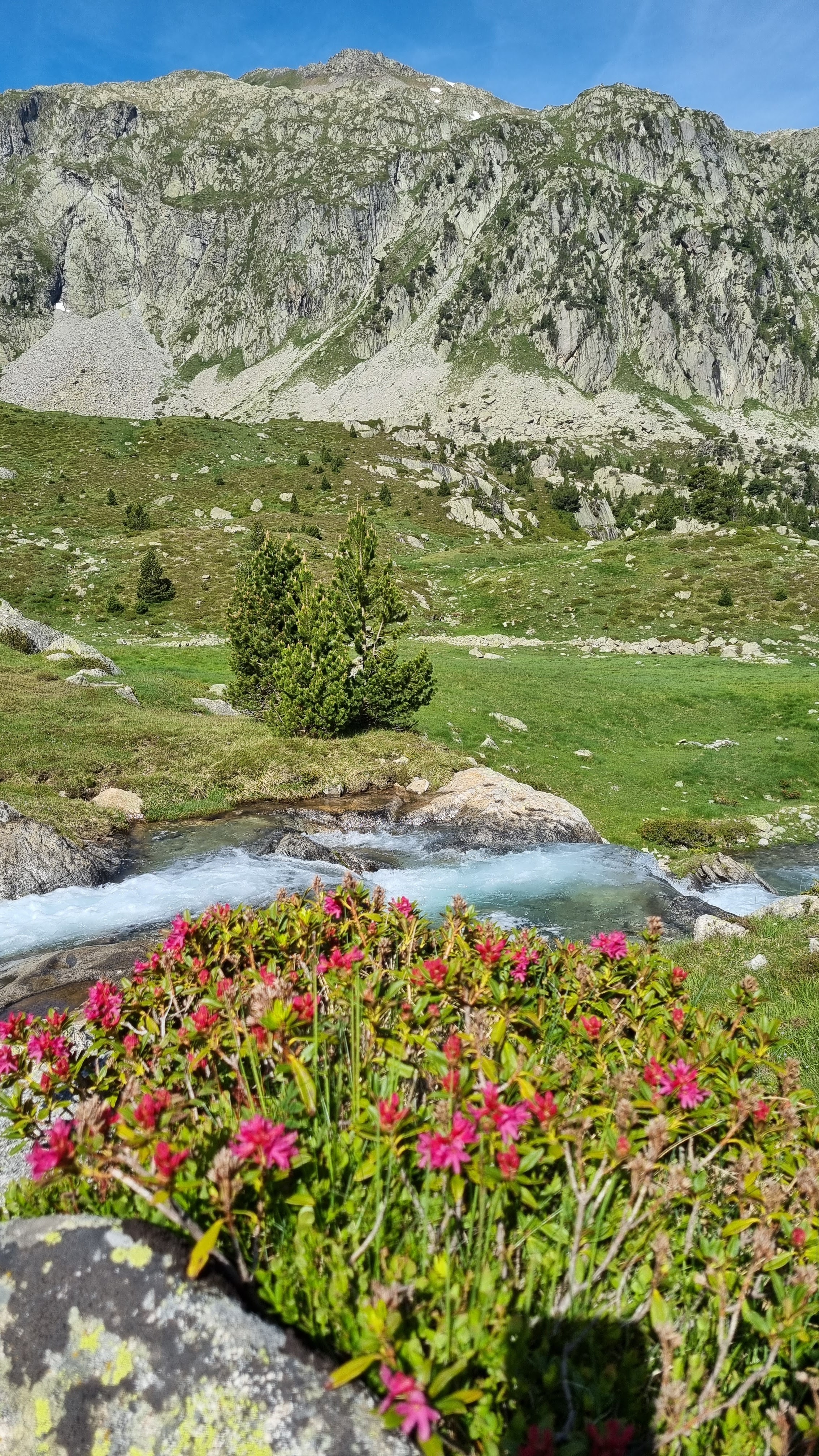 Photo n° 5 de l'avis de brigitte.o fait le 16/06/2023 à 18:34