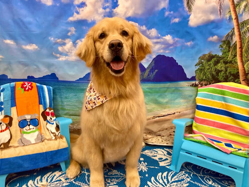 Pet Groomer «Woof Gang Bakery & Grooming, The Villages», reviews and photos, 3682 Meggison Rd, The Villages, FL 32163, USA