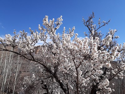 Photos of Kalahrood Touristic Site