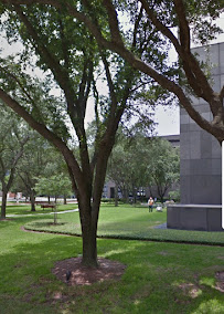 Tri Shield Security & Investigations, LLC - Photo 4 - Car repair in Houston, TX, Houston