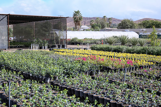 S & S Plant Growers