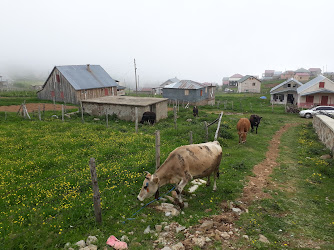 Bektaş Yaylasi