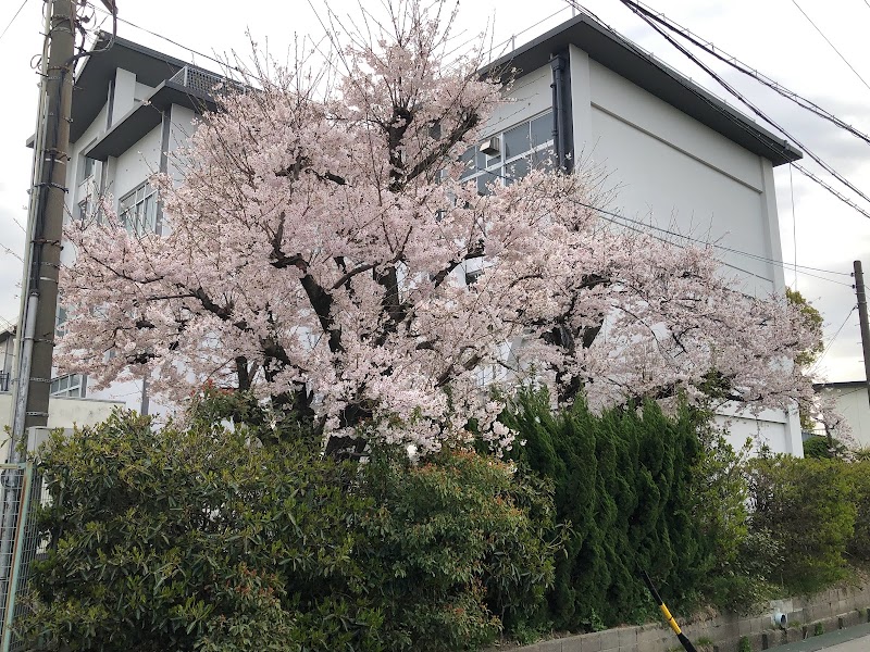 あま市立正則小学校