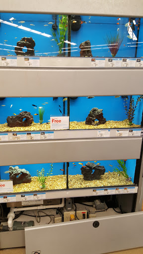 Pet Supply Store «Petco Animal Supplies», reviews and photos, 11398 Bandera Rd #403, San Antonio, TX 78250, USA