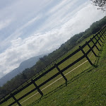 Photo n°21 de l'avis de Anastasia.a fait le 10/05/2019 à 04:34 sur le  Agriturismo Le Colline di Augusta Fonsi à Palestrina