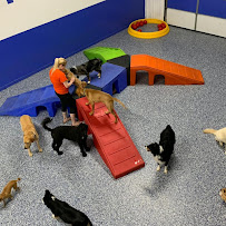 Happy Puppy, Inc. - Photo 4 - Car repair in Naperville, IL, Aurora