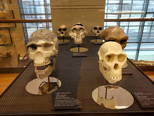 Museum «Beneski Museum of Natural History», reviews and photos, 11 Barrett Hill Rd, Amherst, MA 01002, USA