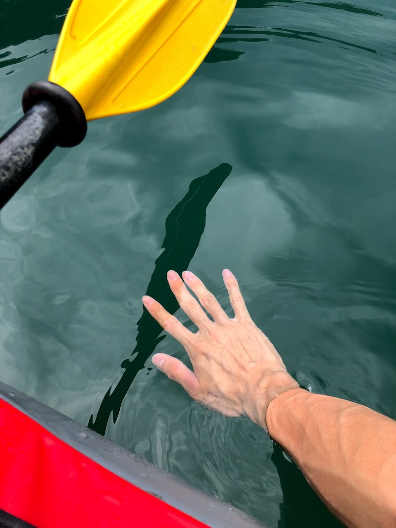 グルコミ 群馬県中之条町 カヌー カヤックツアー代理店で みんなの評価と口コミがすぐわかるグルメ 観光サイト