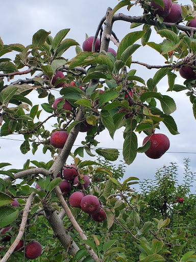 Produce Market «Race Farm», reviews and photos, 87 Belcher Rd, Blairstown, NJ 07825, USA