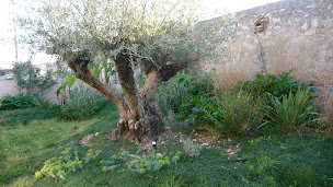 Photo n°14 de STEVEN GERARD LANDSCAPE DESIGN à Castelnau-le-Lez ()