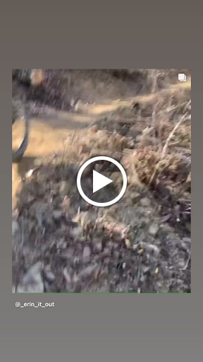 Bicycle Store «Fresh Bike Service, Inc», reviews and photos, 1575 Old Alabama Rd Suite 209, Roswell, GA 30076, USA