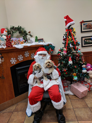 Pet Supply Store «PetSmart», reviews and photos, 5 Main St, East Hartford, CT 06118, USA