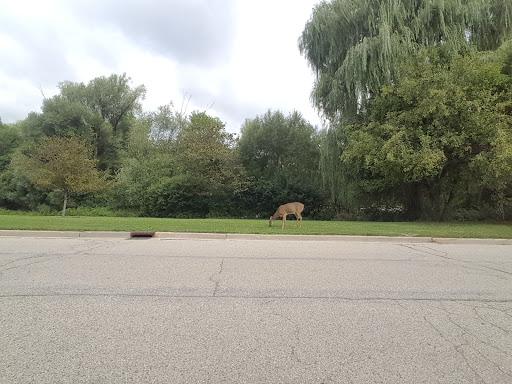 Public Golf Course «Greenfield Golf Course», reviews and photos, 12035 W Greenfield Ave, Milwaukee, WI 53214, USA