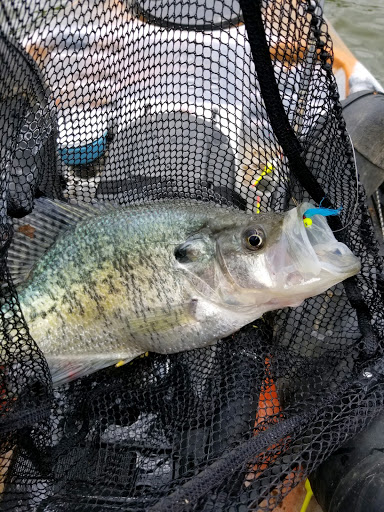 Vacation Home Rental Agency «Fish Island», reviews and photos, 3535 Blue Spring Rd, Cadiz, KY 42211, USA