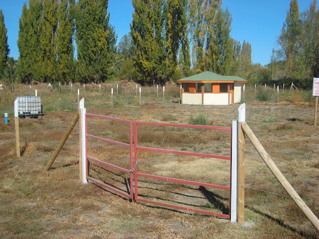 Diego Portales 195, Quillón, Bío Bío, Chile