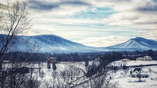 Vineyard «Muse Vineyards», reviews and photos, 16 Serendipity Ln, Woodstock, VA 22664, USA