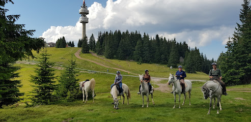 Horse Riding Smolyan - Конна езда Смолян