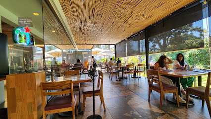 Restaurante Casa Palmeras - 68050, Emiliano Zapata 105, Reforma, Oaxaca de Juárez, Oax., Mexico