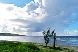 Laulau Beach'in fotoğrafı imkanlar alanı