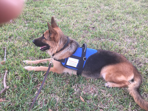 Shopping Mall «West Volusia Regional Shopping Center», reviews and photos, 2689 S Woodland Blvd, DeLand, FL 32720, USA