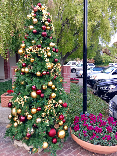 Shopping Mall «Pavilions Shopping Center», reviews and photos, 563 Pavilions Ln, Sacramento, CA 95825, USA