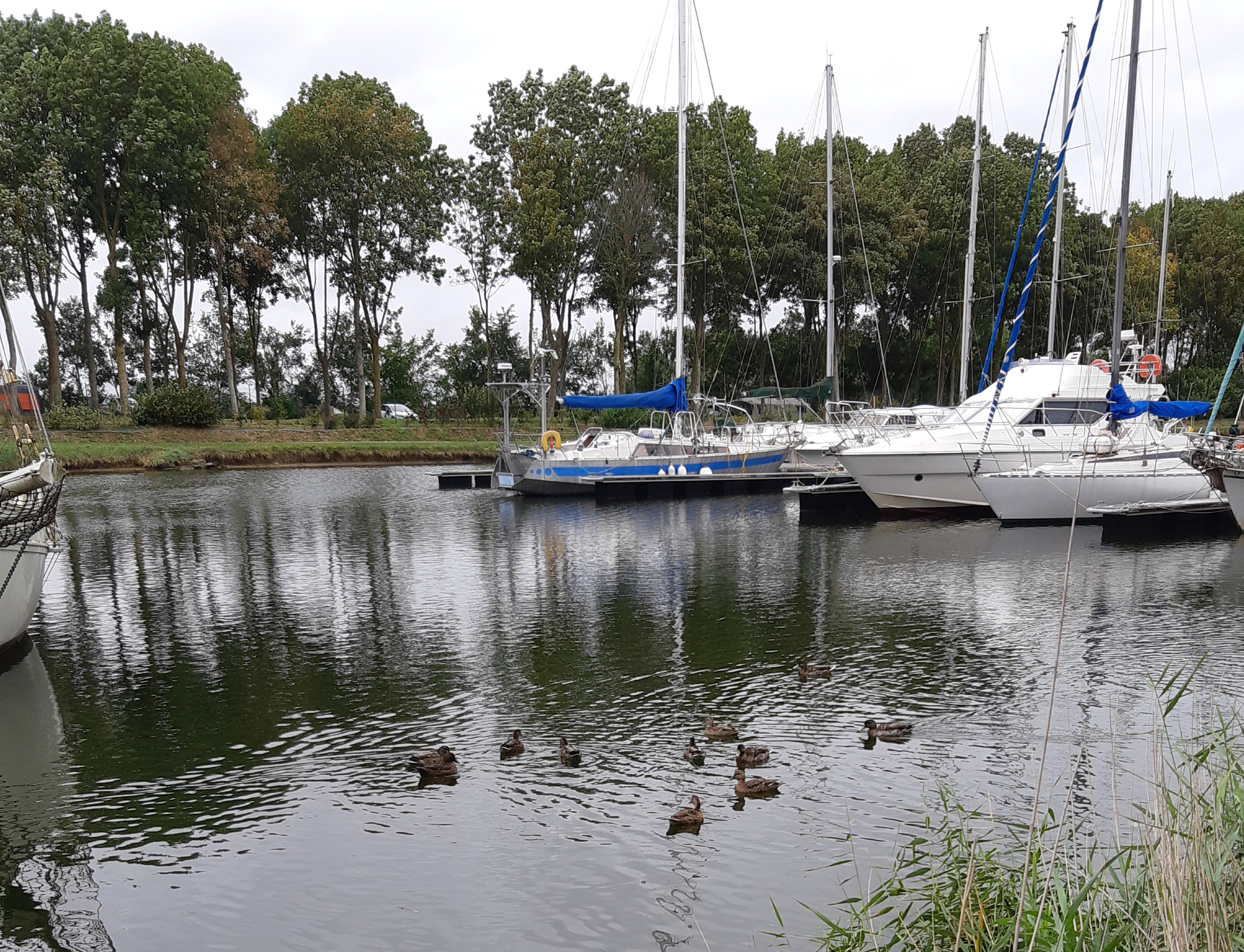 Photo n° 2 de l'avis de Isabelle.E fait le 15/08/2019 à 22:23
