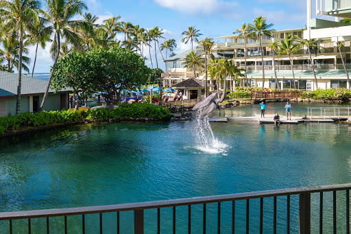 Places to celebrate birthdays with swimming pool in Honolulu
