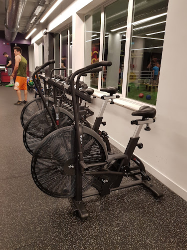 Comentarii opinii despre Icon Fitness