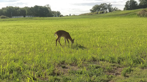 Golf Course «RiverWinds Golf & Tennis Club», reviews and photos, 270 Eagle Point Rd, West Deptford, NJ 08086, USA