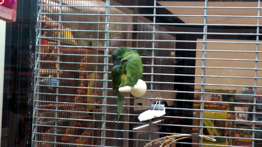 Pet Supply Store «PetSmart», reviews and photos, 12142 Jefferson Ave, Newport News, VA 23602, USA