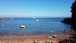 Foto di Spiaggia di Watcombe con abbastanza pulita livello di pulizia