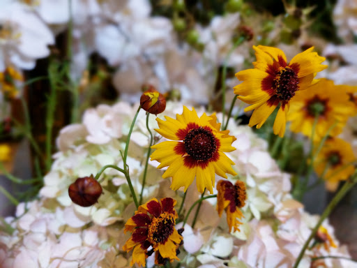 Shopping Mall «Union Square, San Francisco», reviews and photos, 333 Post St, San Francisco, CA 94108, USA