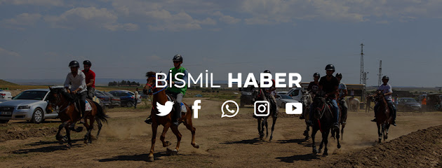 Bismil Haber