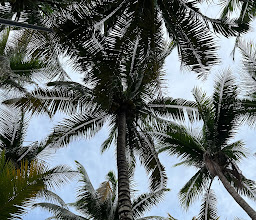 Hidden Beach Resort photo