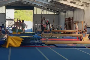 Hutt Valley Gymnastics image