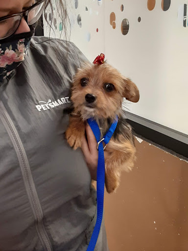 Pet Supply Store «PetSmart», reviews and photos, 2784 Wilma Rudolph Blvd, Clarksville, TN 37040, USA