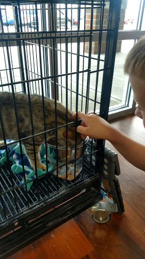 Pet Supply Store «Pet Valu», reviews and photos, 1605 E Michigan Rd, Shelbyville, IN 46176, USA